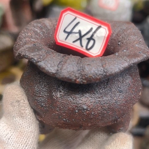 粗陶花盆手工花盆制作