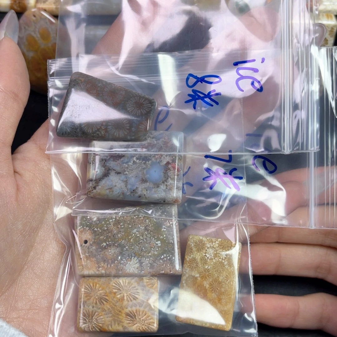 硅化珊瑚（珊瑚玉）未镶嵌吊坠