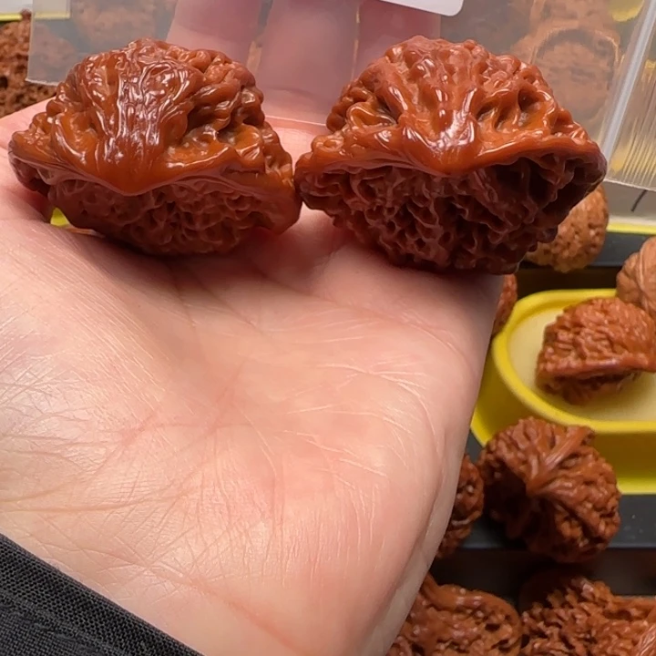 农***茶文玩核桃吊坠蛇王蛇王49