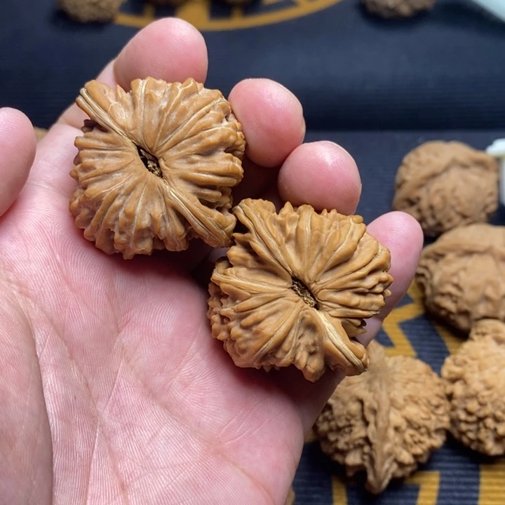 局***.大叶紫檀（黑酸枝木类）