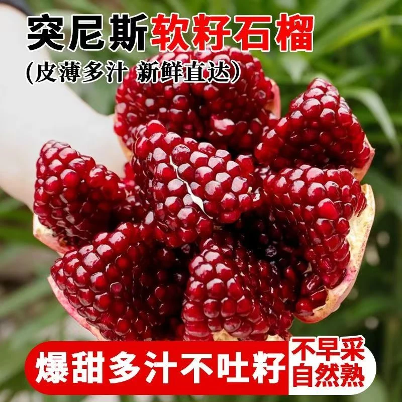 【严选品质】四川会理突尼斯软籽石榴产地直发8斤装应季孕妇大石榴