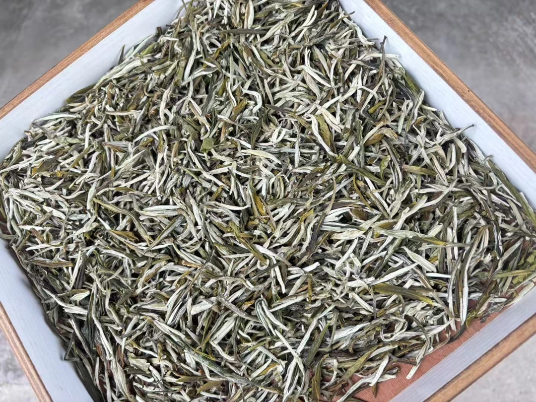 2025新茶 广西茉莉花茶 茉莉凤尾针