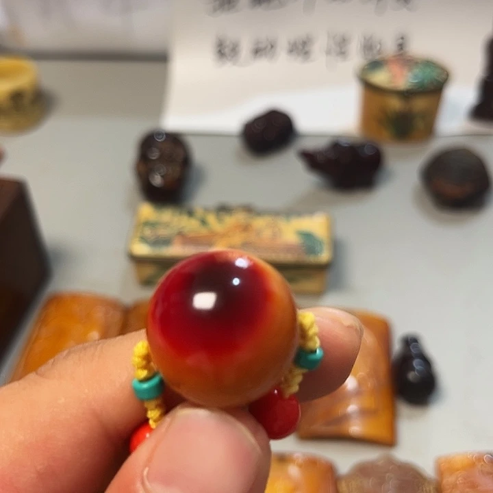大果紫檀（缅甸花梨）