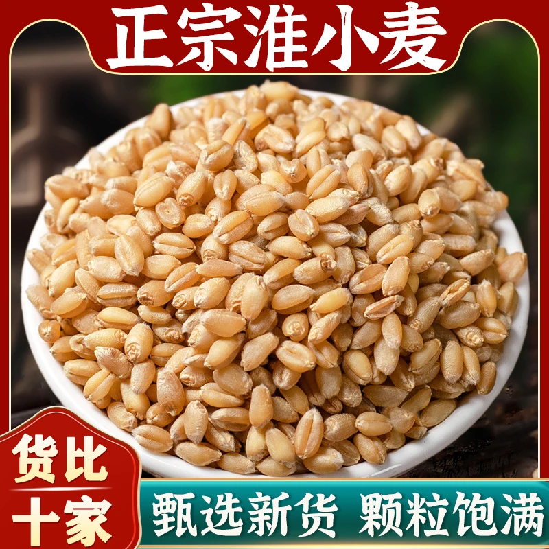 淮小麦中药材正宗浮小麦红枣甘麦大枣汤睡眠泡茶煮水喝精选批发