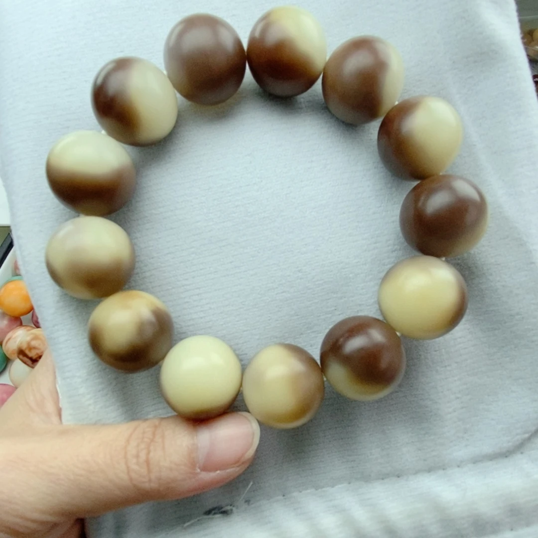 吊坠菩提根/象牙果手工干磨卡19.5圆珠近全