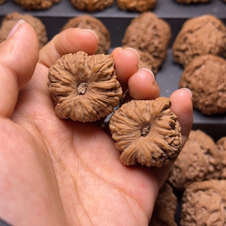 核桃手串/手链韶*南疆