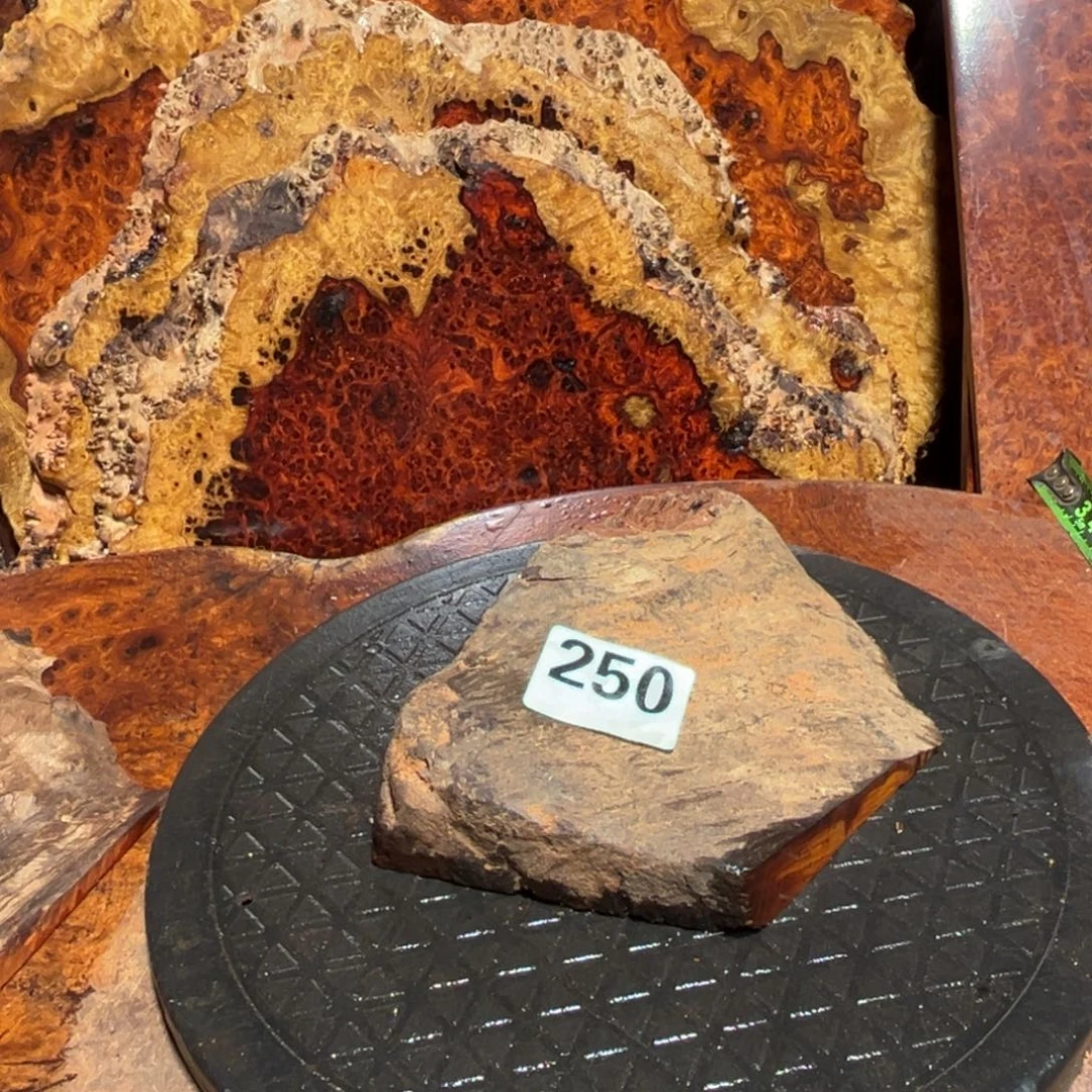 大果紫檀（缅甸花梨）