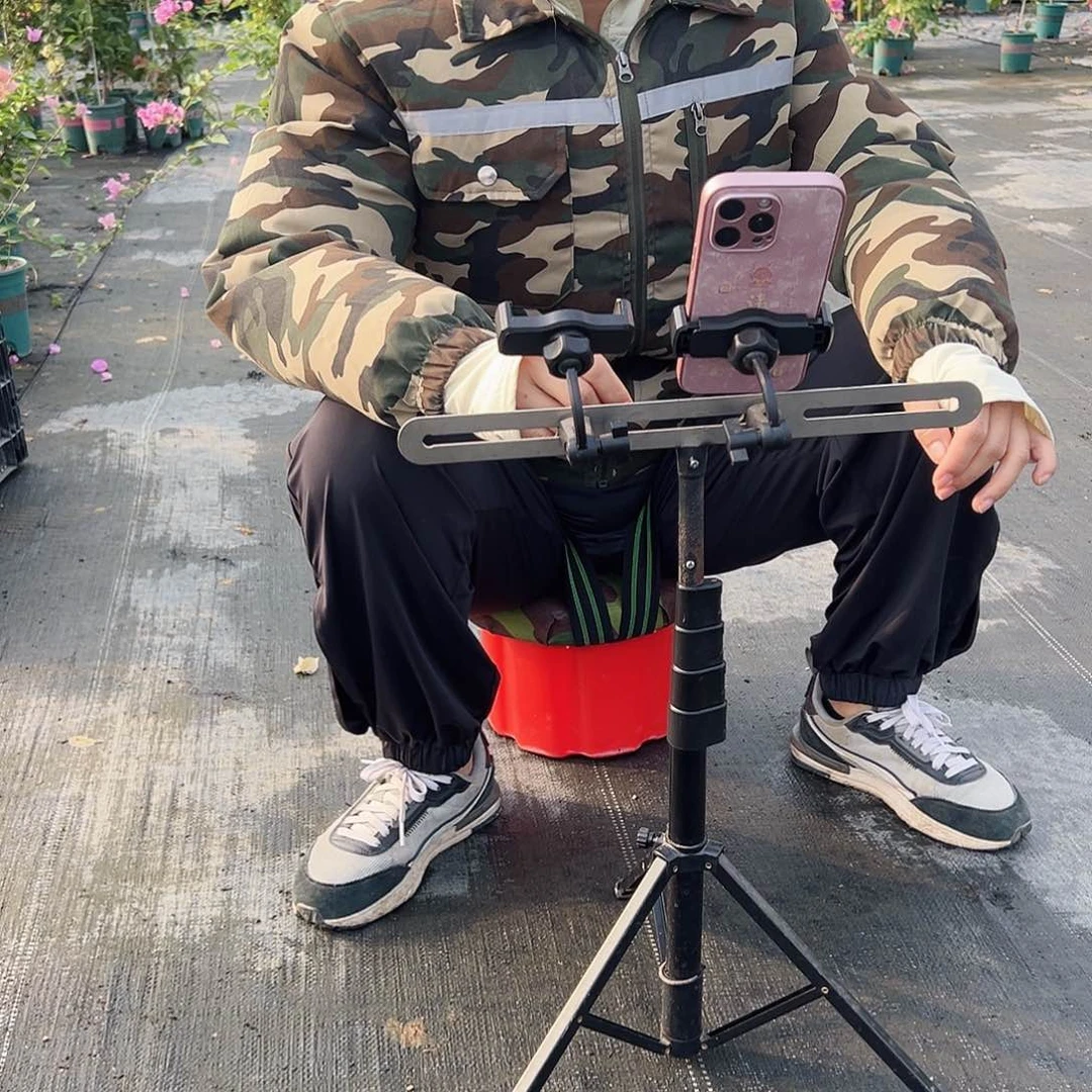 当前无花栽培后可以开花钵钵鸡一元，随机发