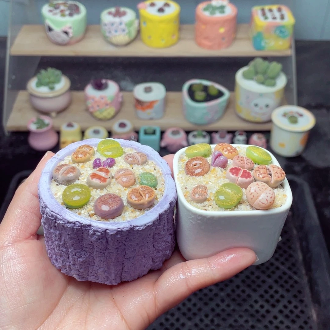 w8913 带盆土发货-零下地区拍保温箱