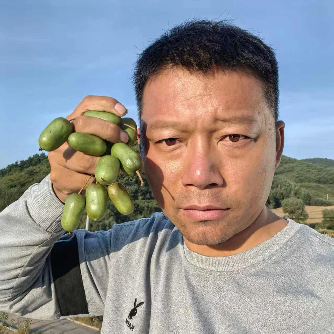 老杨寻民间软枣猕猴桃～抖音