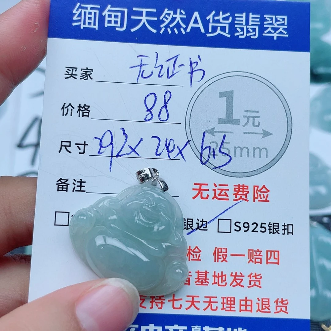 翡翠银S925镶嵌颈饰翡翠