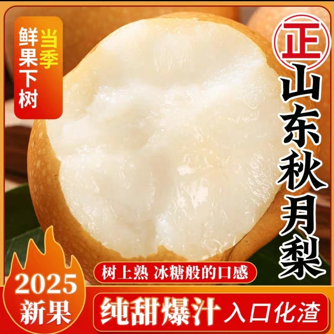 山东莱阳莱西秋月梨皮薄肉厚无渣脆甜多汁当季水果核心产区直发