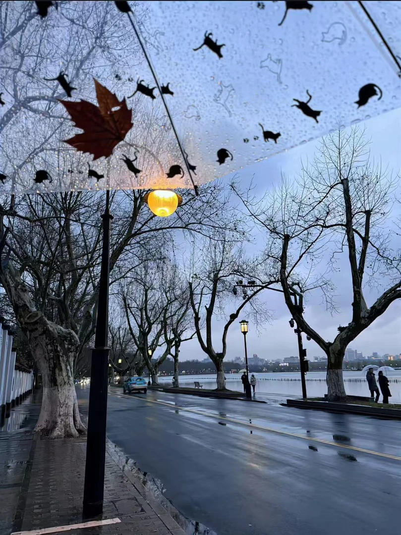 绞花肌理针织毛衣法式复古时髦单品CY78591