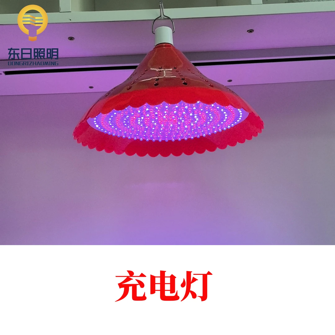 【充电灯】LED移动摊位水果灯鲜肉灯熟食灯户外灯食品灯泡LED节能灯