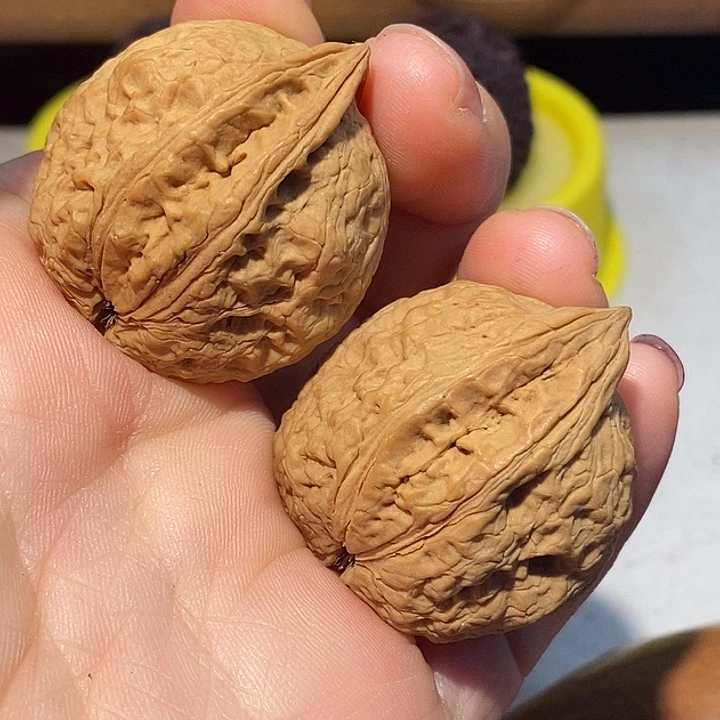 把件文玩核桃777777777¥