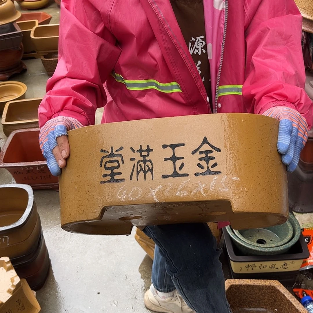 紫砂花盆盆景艺术