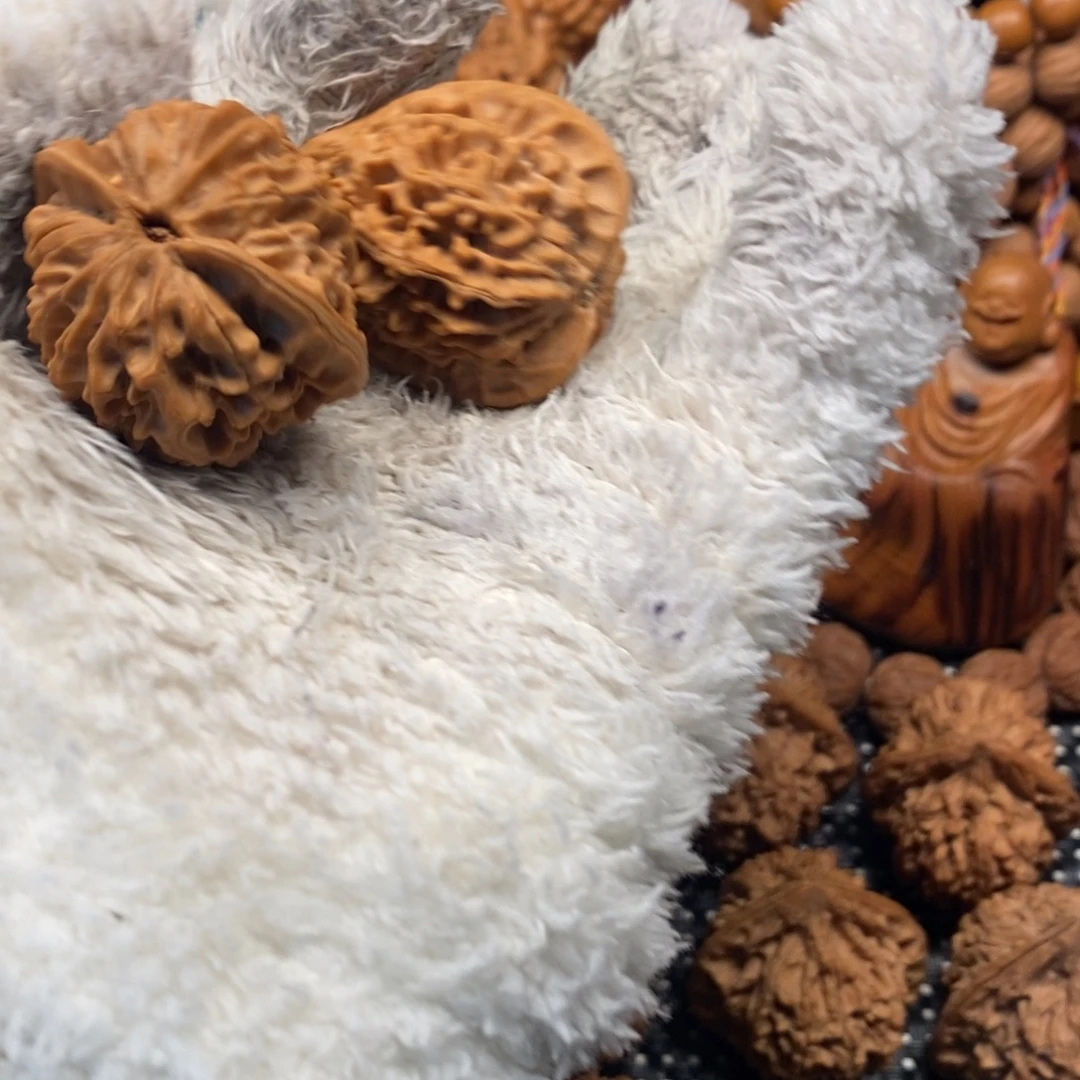 C***哥秦岭山下为金丝峰景