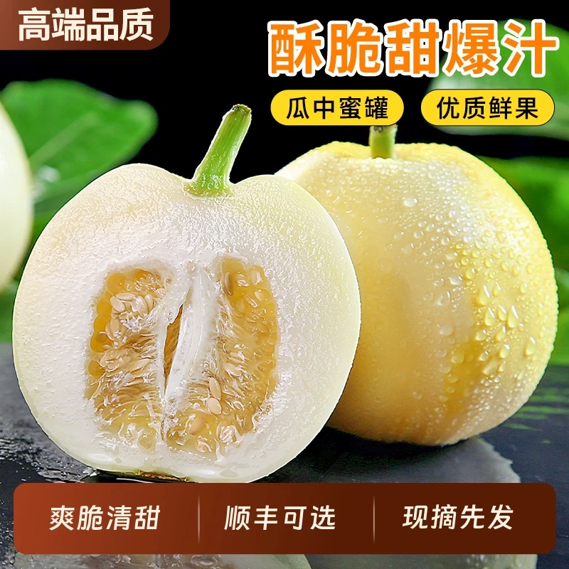 【精品果王升级】头茬小蜜蜂甜瓜二代清甜爽口当季新鲜水果现采现摘