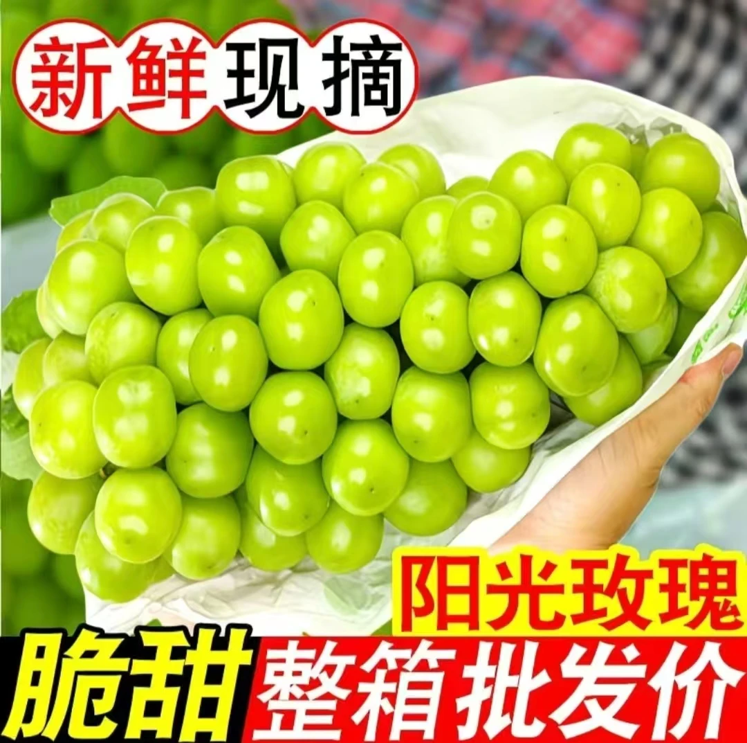 阳光玫瑰葡萄新鲜当季应季无籽整箱发货