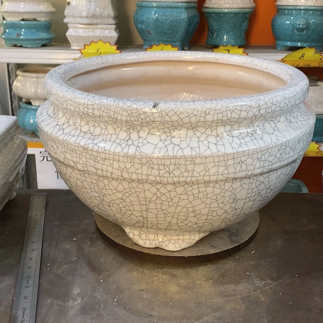 繁****景花盆里的小猫咪