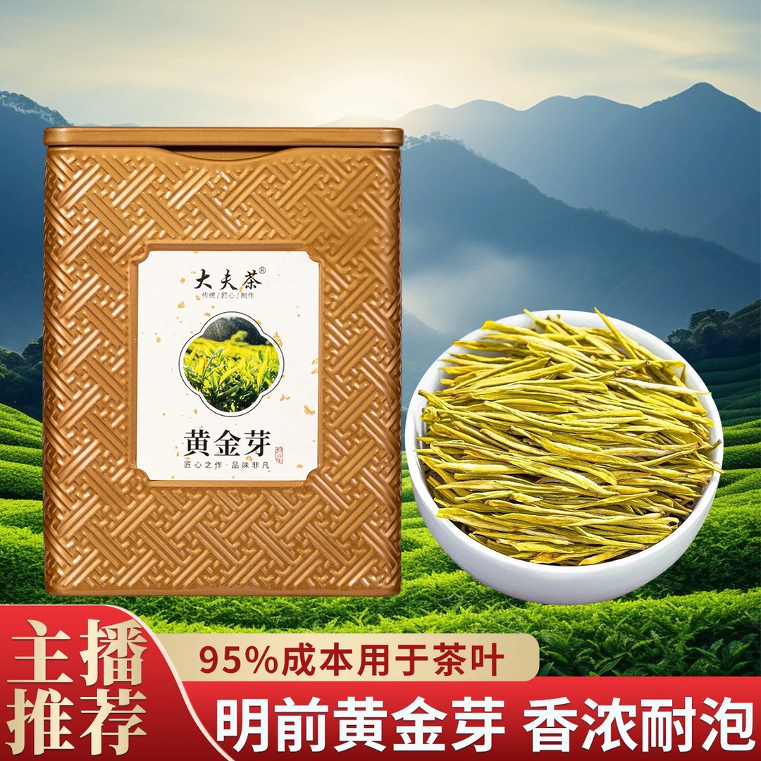 2025年绿茶黄金芽豆香味浓香耐泡