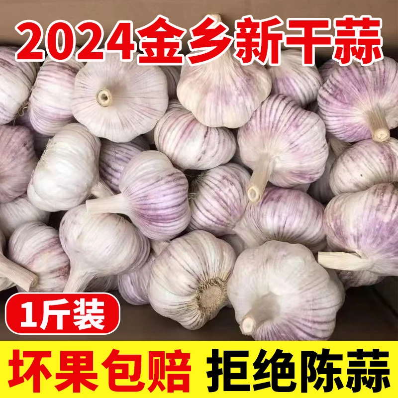 【1斤装】金乡新干蒜 紫皮大蒜农家干蒜大蒜头原产地发货