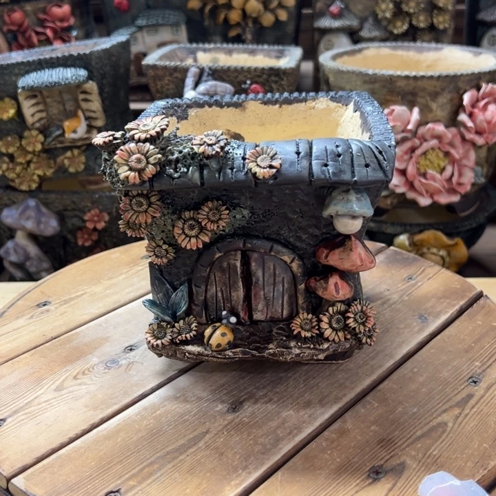 青藤多肉花盆百搭