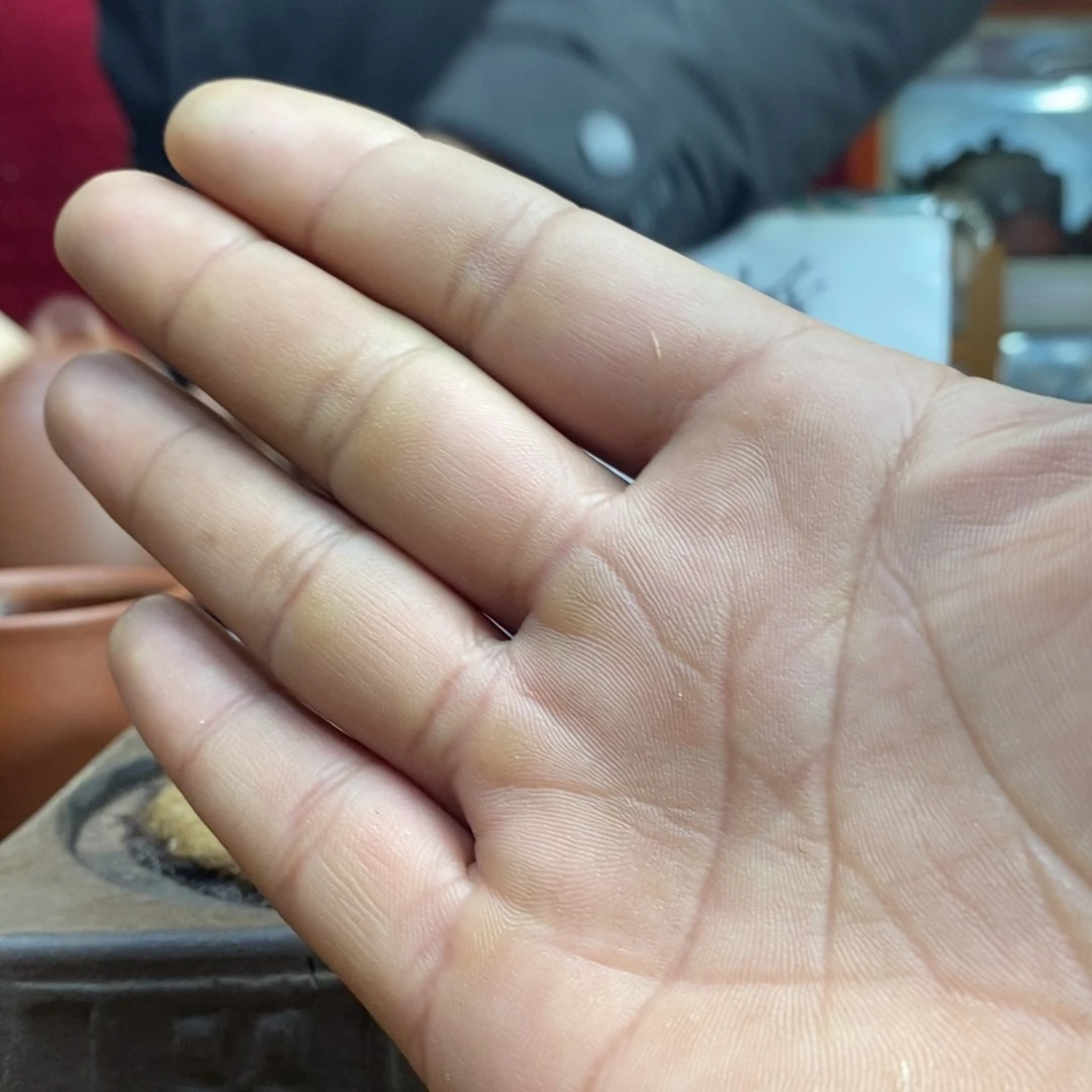 紫砂茶杯达**记原矿礼物随机赠送