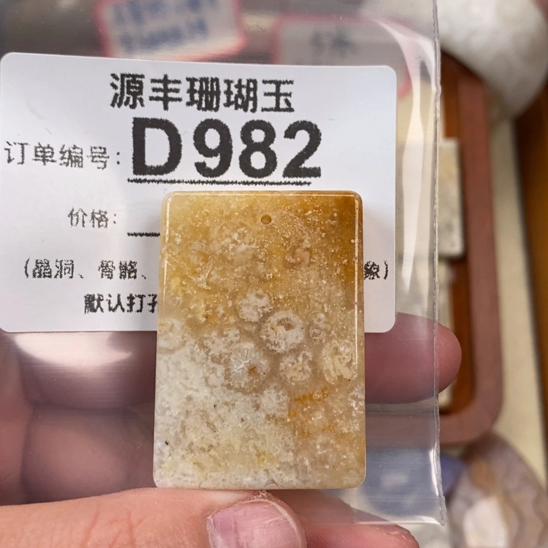 硅化玉颈饰未镶嵌和****饼