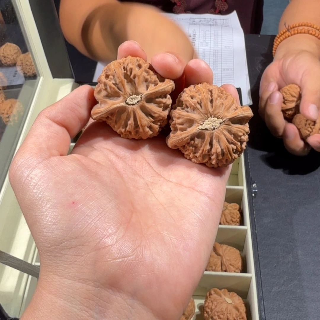 文玩核桃把件218号宫灯狮子头