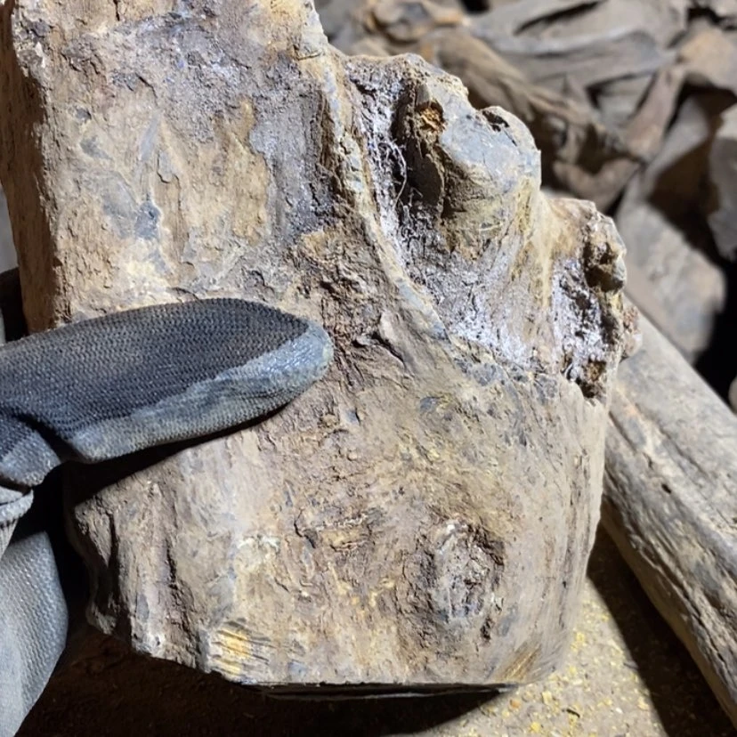 【闪购商品】把件贡木华*私人订制