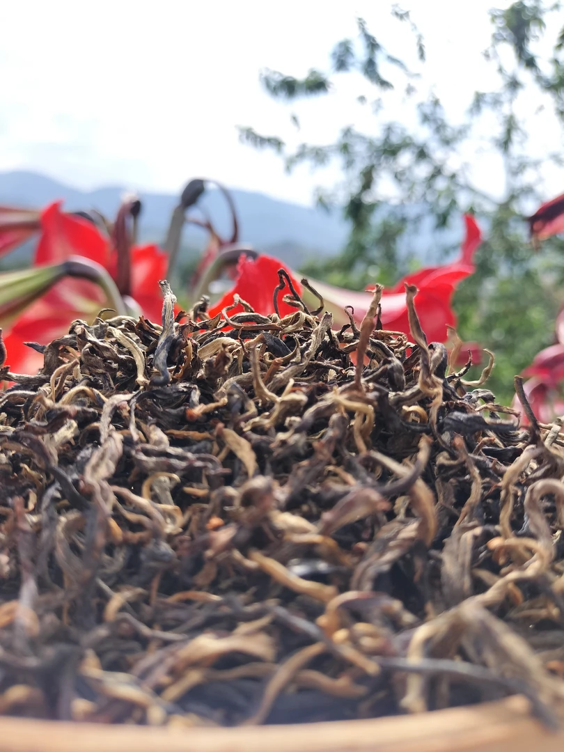 依乐有好茶《瑰蜜》（2025年古树晒红，汤感丝滑，花香蜜香）