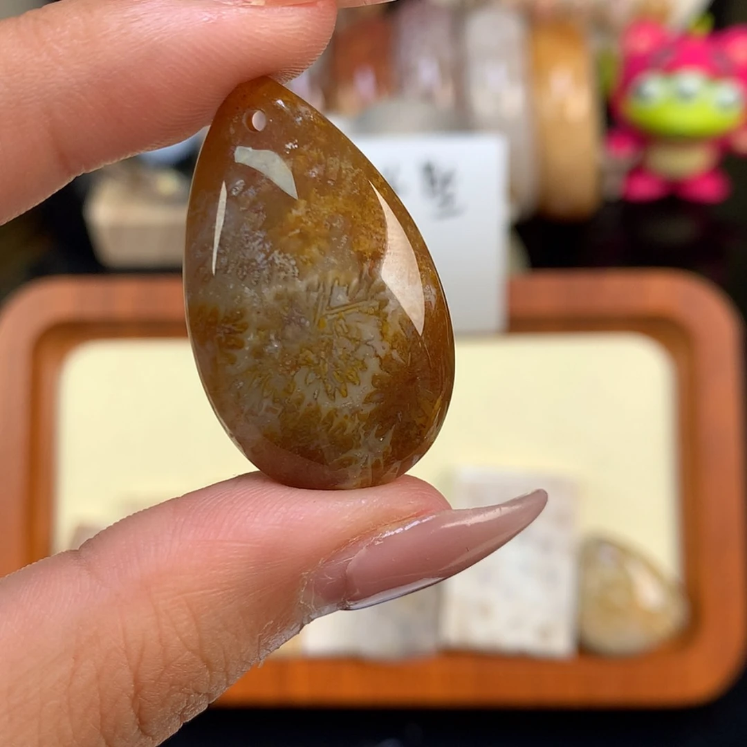 【闪购商品】颈饰未镶嵌硅化珊瑚（珊瑚玉）啊**～