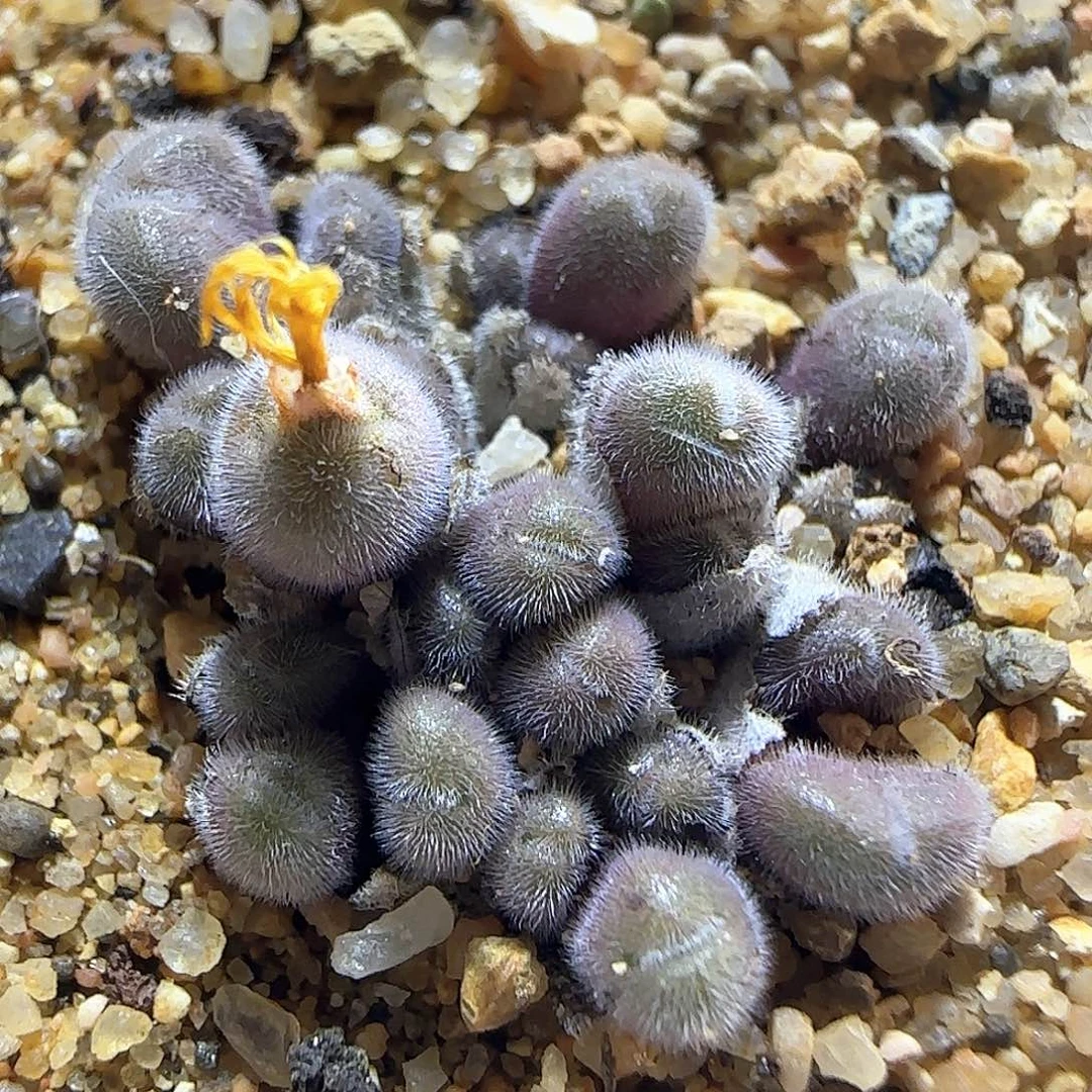 哈哈哈哈哈哈哈55918