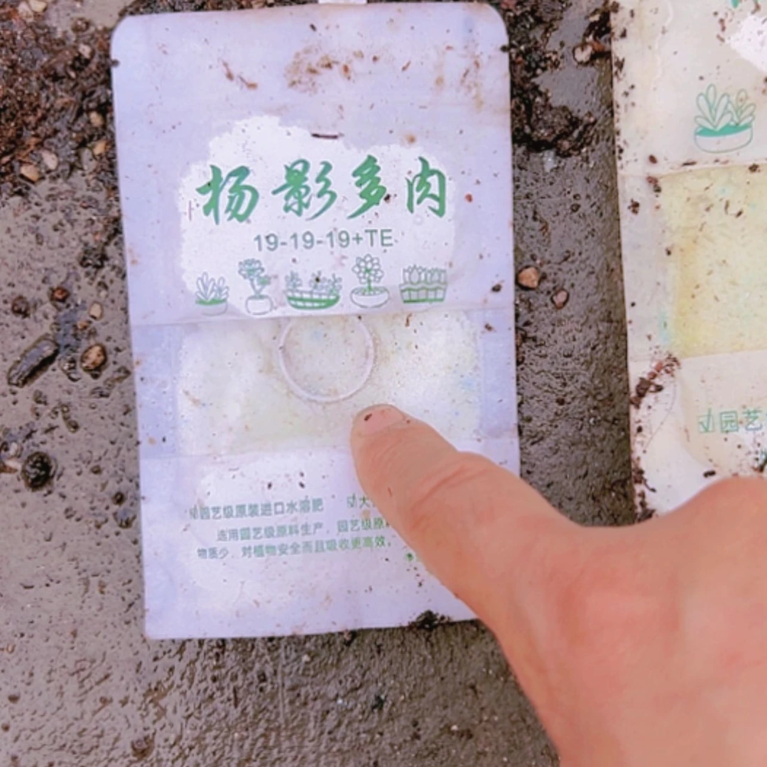 【闪购商品】实验包2包