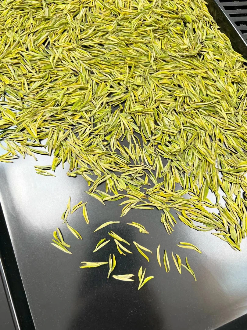 米芽黄金牙2025年新茶明前奶油安吉黄金叶黄金芽春季