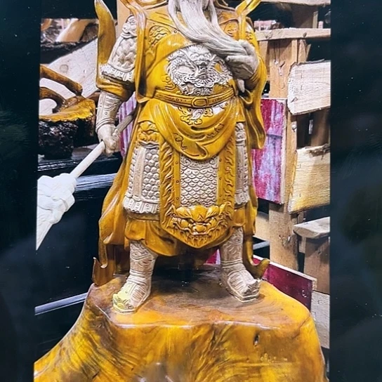 金丝楠大****剂关公关公金丝楠