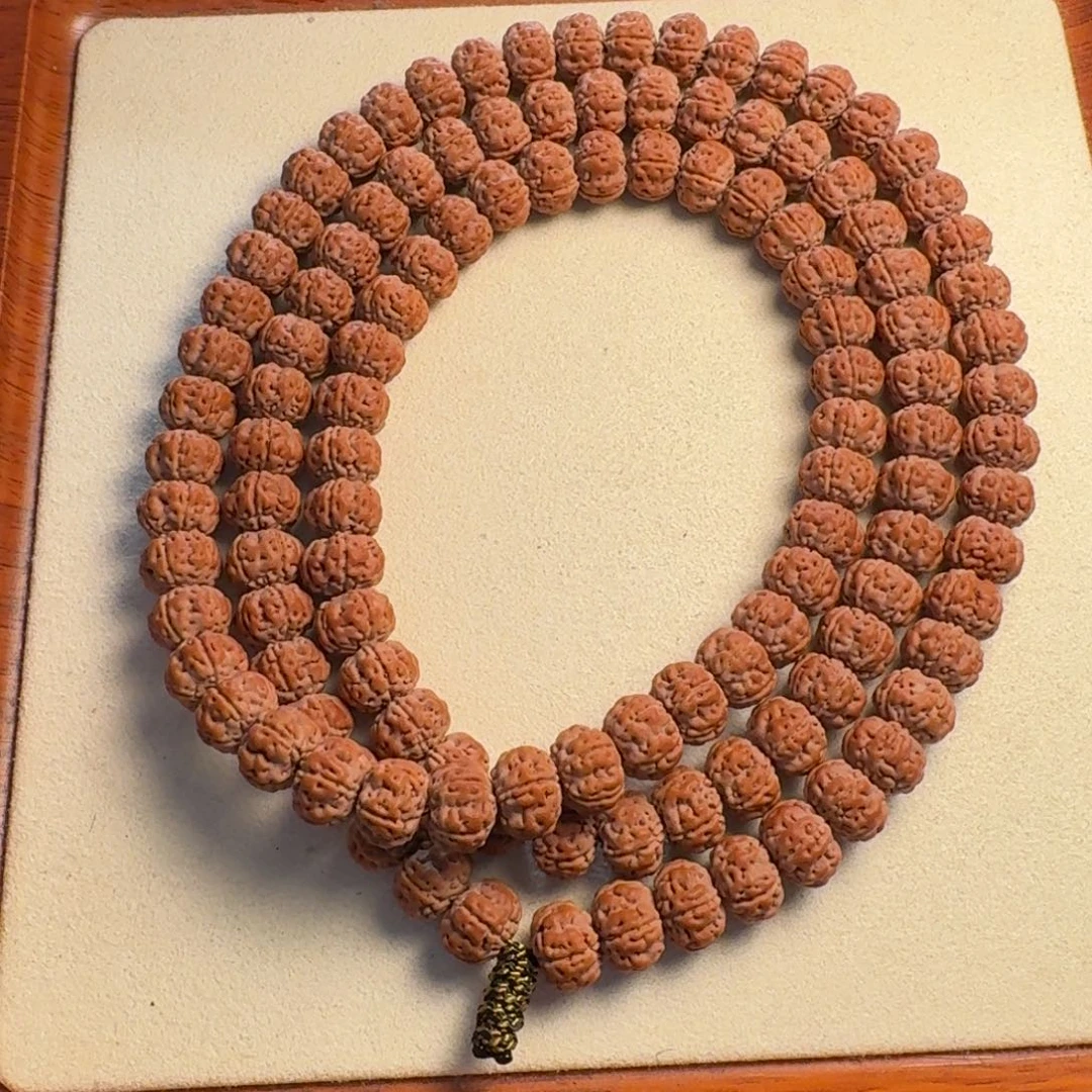 金刚菩提吊坠老树王十挑一 10+