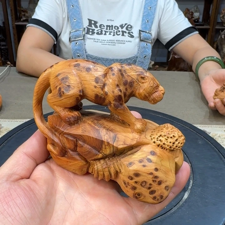 柏木（崖柏）太行崖柏