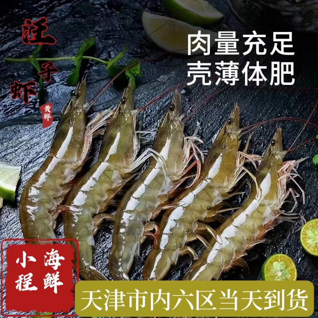 黄骅盐场汪子虾20条左右【保鲜不保活】