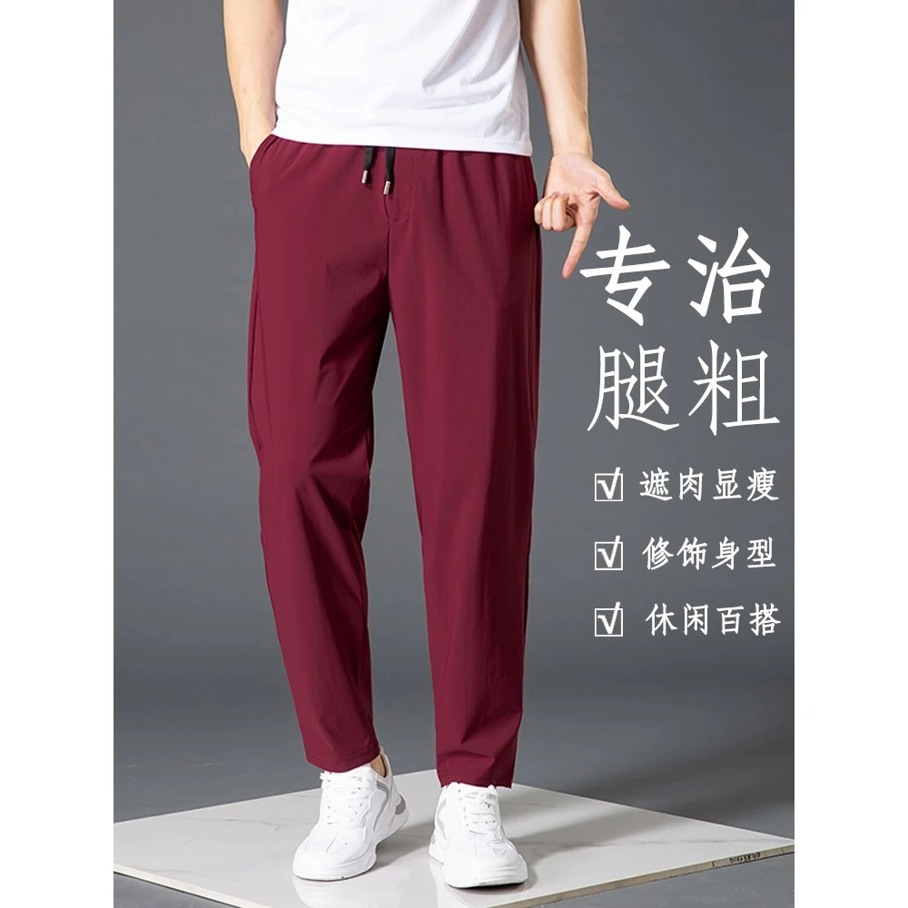 哈伦裤男夏季薄款长裤前中拉链酒红色宽松小脚萝卜弹力运动休闲裤