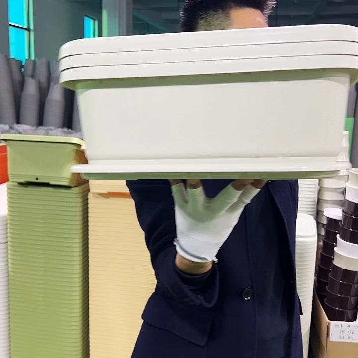 特价菜盆长38宽28高14米色3只带托