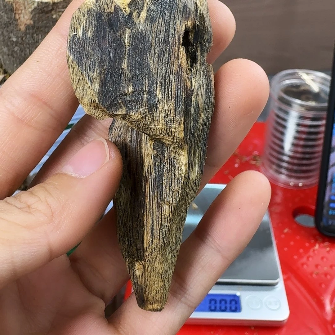 香料绿奇楠虫漏白棋9克