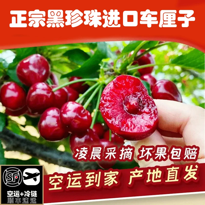 五斤！4J进口车厘子1-5斤装脆甜现摘空运新鲜水果J车厘子孕妇水果