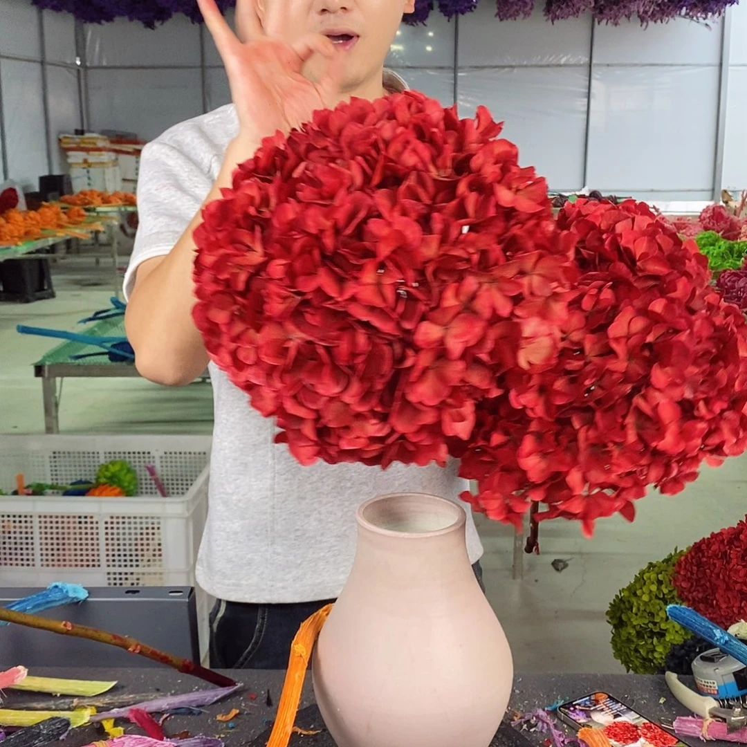 大叶绣球永生花 红色07