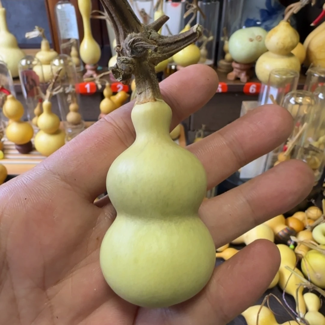 ****二八宝葫芦一枚奶瓶