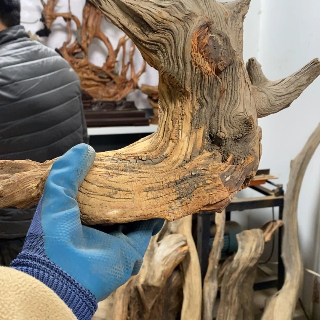 柏木红*我们都是好孩子