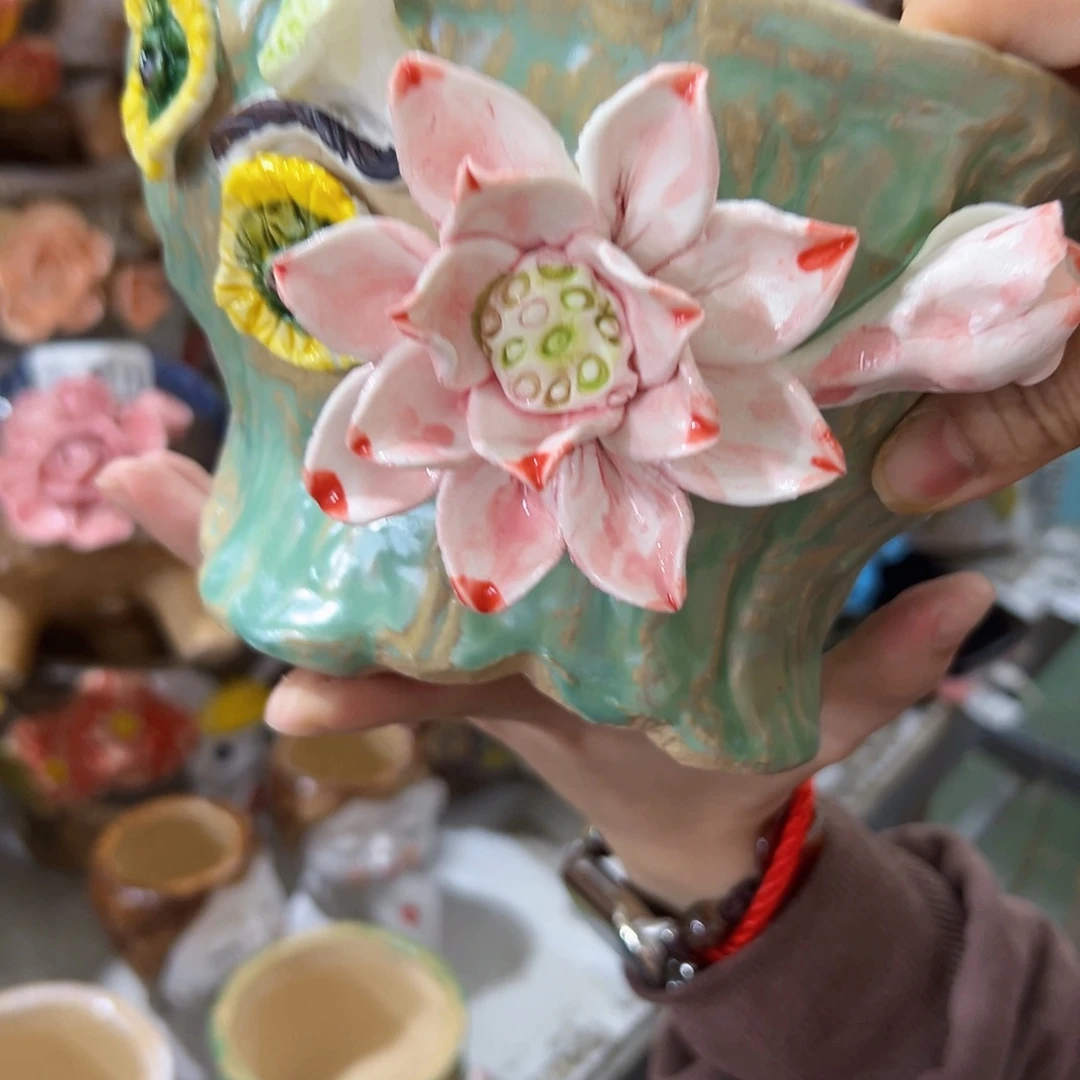 本场直播满100赠送一个花盆