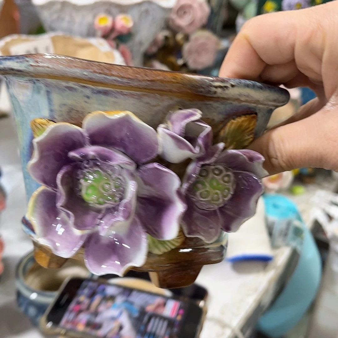 【闪购商品】红陶福利