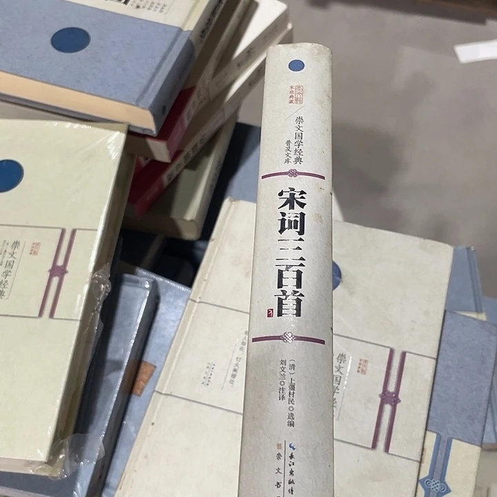 正版全新宋词三百首